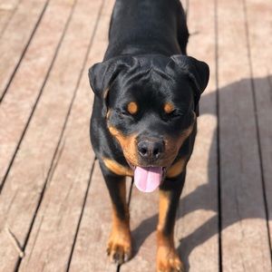 Meet your Posher, Mike